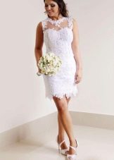 Wedding dress case