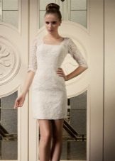 Wedding dress case