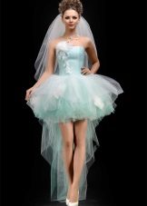 Skirt isang pakete ng tulle na may tren