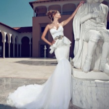 Wedding dress mermaid with basky