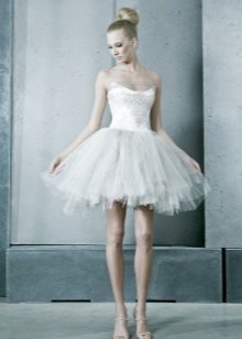 Short Tutu Wedding Dress