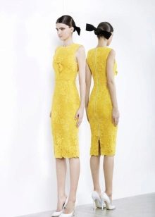 Yellow case case
