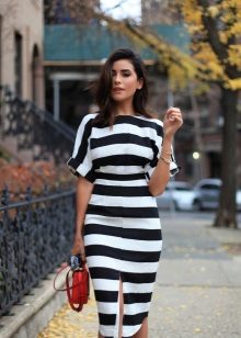 Black at White Striped Dress
