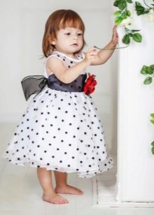 Đầm dự tiệc cho cô gái trắng trong đậu đen