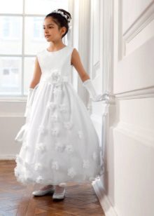 Đầm dự tiệc cho bạn gái dài