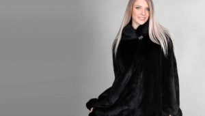 Shorn của hải ly