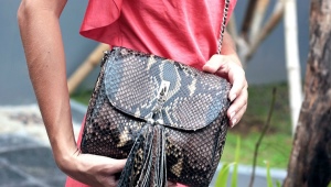 What to wear bags of python?