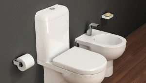Paano linisin ang banyo?
