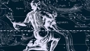 Male Aquarius-Rooster: personality description and interaction