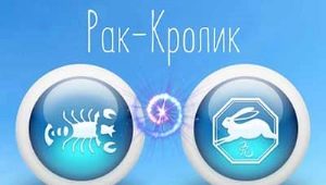 Đặc điểm của một phụ nữ Cự Giải sinh năm con thỏ