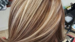Nổi bật với tông màu trên mái tóc nâu nhạt