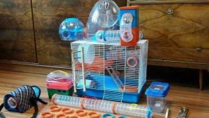 ของเล่นสำหรับแฮมสเตอร์: การเลือกและการผลิต