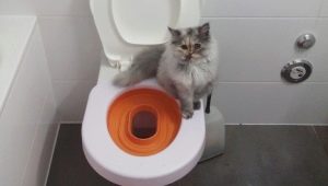 แผ่นรองในห้องน้ำสำหรับแมว