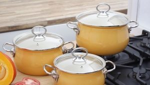 German pans: pagsusuri ng pros, cons at gumawa