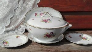 Kahla Porcelain: ประเภทเคล็ดลับในการเลือกและการดูแลอาหาร