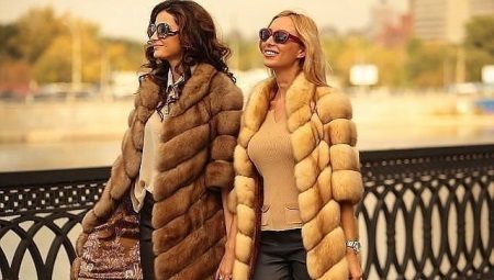 Bắc cực cáo áo biến áp