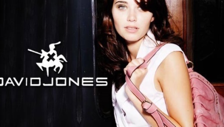 กระเป๋า David Jones