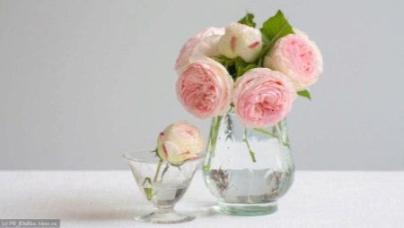 ฉันควรทำอย่างไรเพื่อให้แน่ใจว่ากุหลาบยืนอยู่ในแจกันเป็นเวลานาน