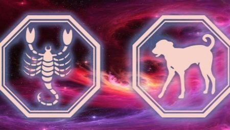 Mga katangian ng isang lalaki Scorpio ipinanganak sa taon ng Aso