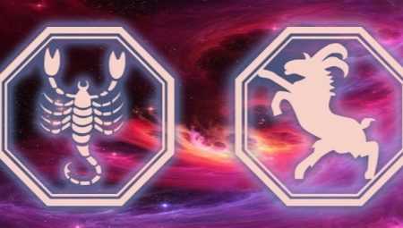 Characteristics of a Scorpio woman born in the year of the Goat