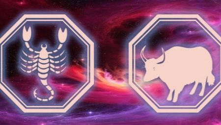 Male Scorpio, born in the year of the Bull: characteristic and compatibility
