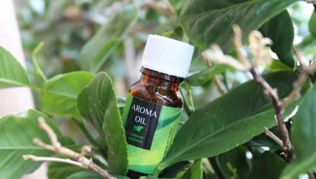 Tea tree oil for the face: the benefits, harm and subtleties of use