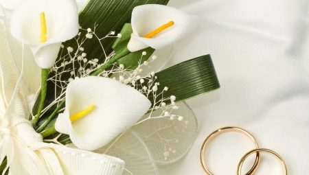 Các tính năng và lễ kỷ niệm đám cưới cashmere