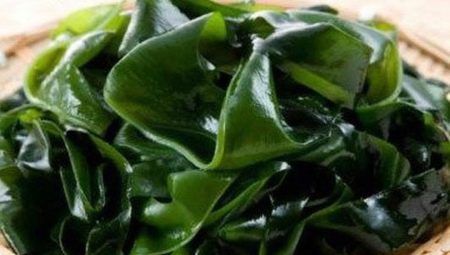 Tấm bọc laminaria: lợi ích, tác hại và quy tắc