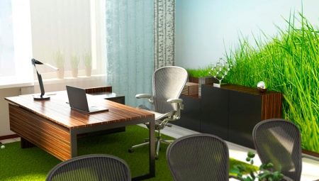 Nơi làm việc cho Phong Thủy là gì?