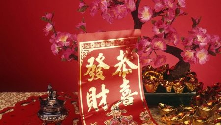 Bagua: nó là gì và làm thế nào để sử dụng lưới điện?