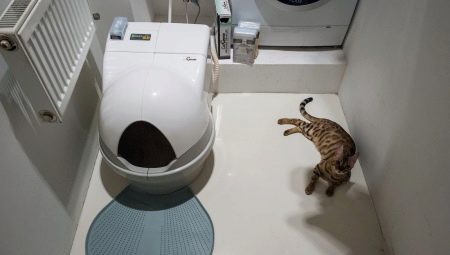 Mga awtomatikong banyo para sa mga pusa: mga tampok, pagpili at rating ng mga modelo