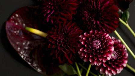 Màu Burgundy trong tâm lý học: nó có ý nghĩa gì và tượng trưng cho điều gì?