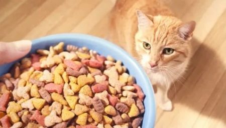 อาหารแมวพรีเมี่ยม: ส่วนประกอบแบรนด์ตัวเลือก