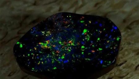 Black opal: hitsura, properties at scope