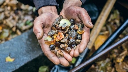 Hổ phách được khai thác ở đâu?