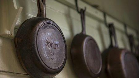 Ang pinakamahusay na mga modelo ng frying pans Lodge: pamantayan ng paglalarawan at pagpili