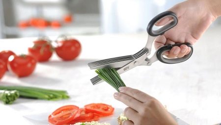 Kéo xanh: mô tả và lựa chọn