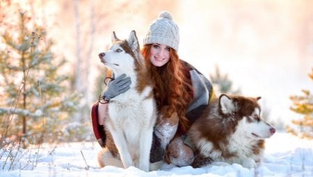 Red Husky: สีและเนื้อหา