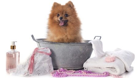 Is it possible to wash the dog with human shampoo?
