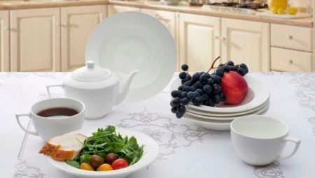 Dishes Wilmax England: features and review of models