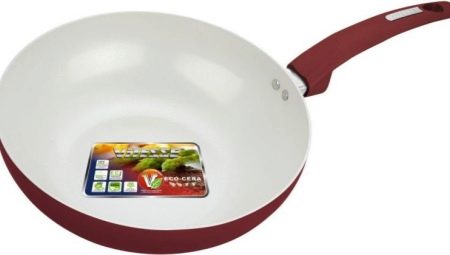 ViTESSE Pans: Review ng Modelo