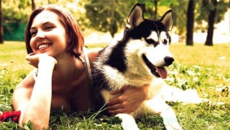 Companion dogs: popular breeds and features of choice
