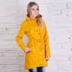Dilaw na parka