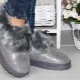 Uggs có tai