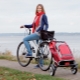 Shopping bag on wheels
