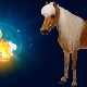 Characteristics of men Aries Horse