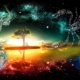 Taurus and Scorpio: compatibility in various areas of life