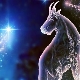 Characteristics and compatibility of women Capricorn, born in the year of the Rat