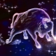 Which stone is suitable for a man Taurus?