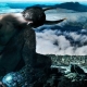 Male Capricorn born in the year of the Bull: characterization and compatibility in relationships